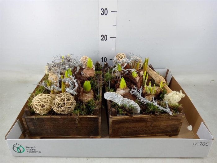 <h4>Arr.   Bol/Knolgewas L%</h4>