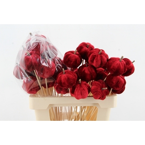 Stick Pumpkin 5/6cm Dark Red