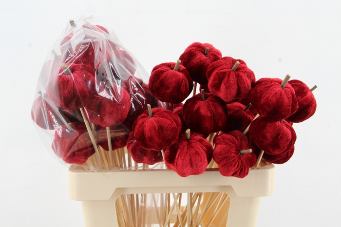 <h4>Stick Pumpkin 5/6cm Dark Red</h4>