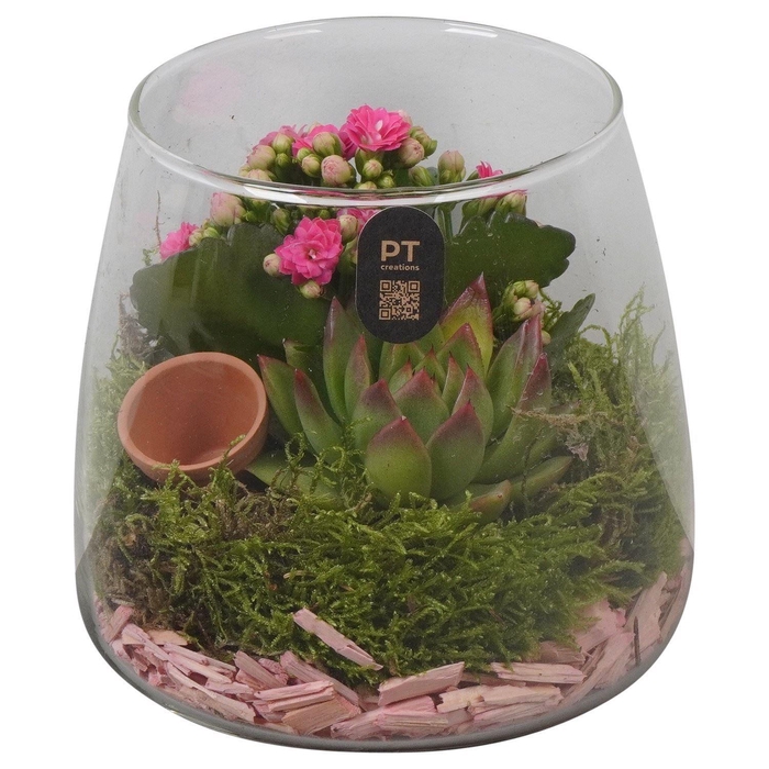 <h4>2694 ROZE EI GLAS</h4>