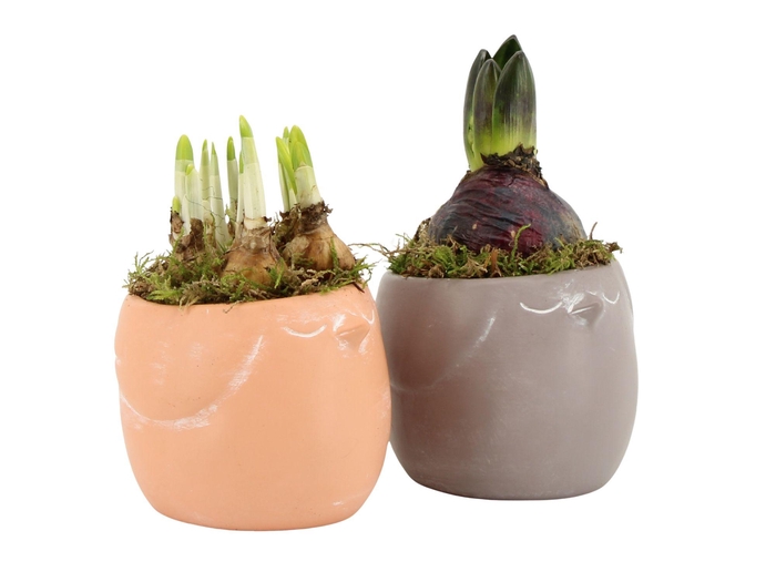 <h4>11454: Outdoor spring arrangement</h4>