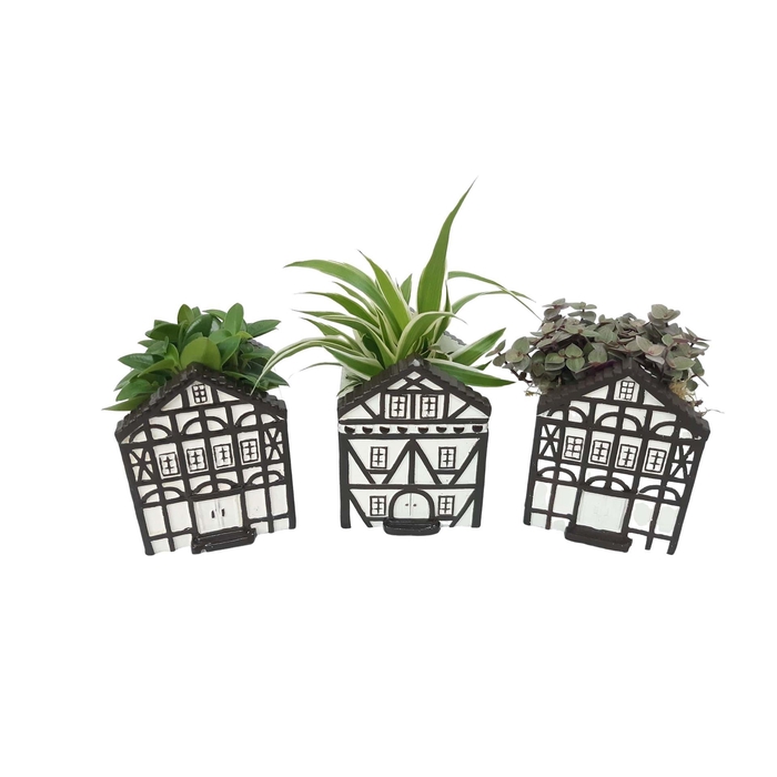 <h4>Planten  ..in schaal L%</h4>
