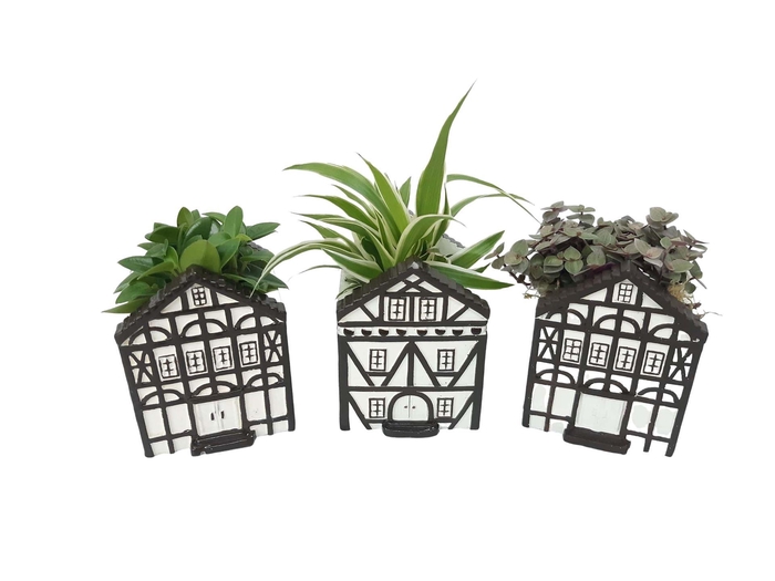 <h4>Planten  ..in schaal L%</h4>