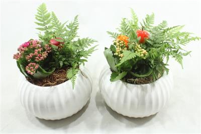 <h4>0254 KER POT TESSA</h4>
