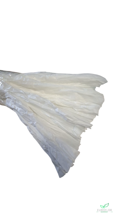 NON WOVEN SHEETS 50CMX1,5M WHITE 5PCS