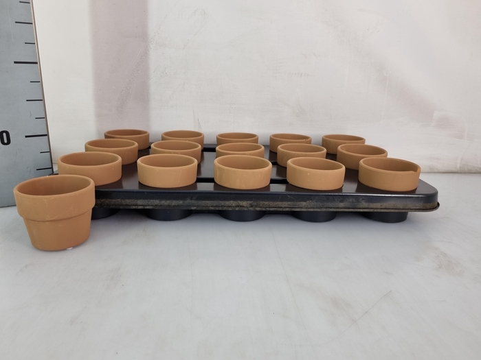 <h4>HUIS EN TUINDECO H%</h4>