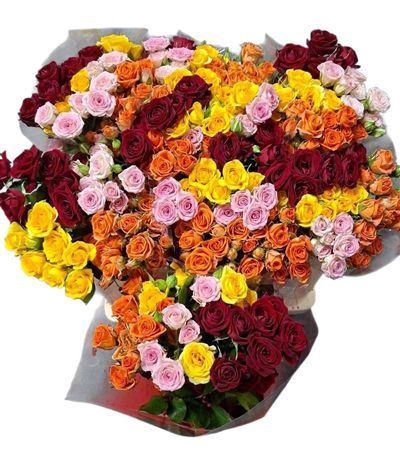 <h4>R Tr Gemengd In Bos</h4>