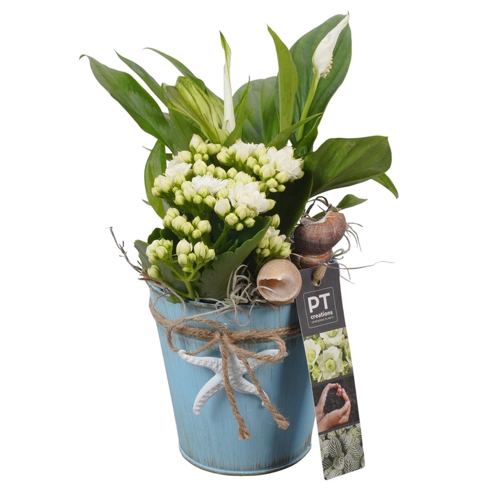 <h4>Arr.   Planten L%</h4>