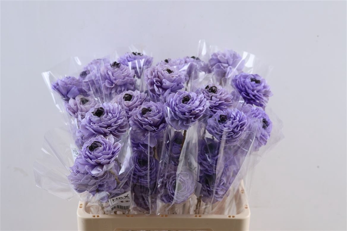 <h4>DECO DAHLIA 8CM LAVENDEL</h4>