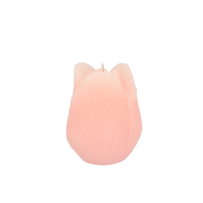 <h4>Candle Tulip White Pink 7x8cm</h4>