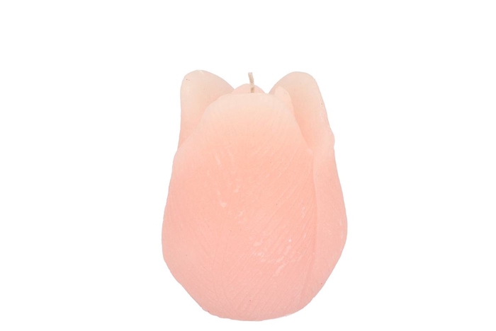 <h4>Candle Tulip White Pink 7x8cm</h4>