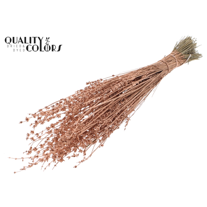 <h4>Lavendel per bunch Copper</h4>