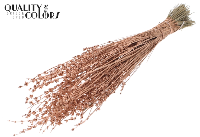 Lavendel per bunch Copper