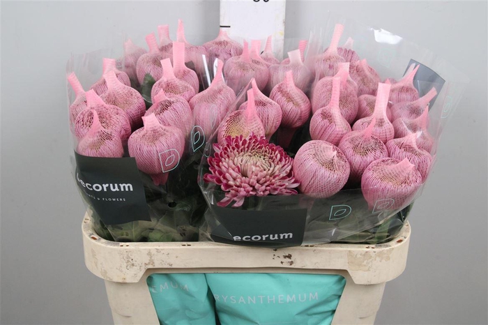 <h4>Chr G Couture</h4>