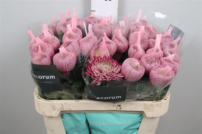 <h4>Chr G Couture</h4>