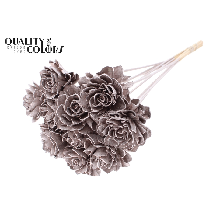 <h4>Shola Dahlia 6cm on stem Champagne</h4>
