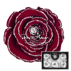 Xl Glitter Silver Red01