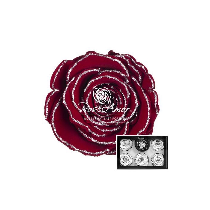 <h4>Xl Glitter Silver Red01</h4>