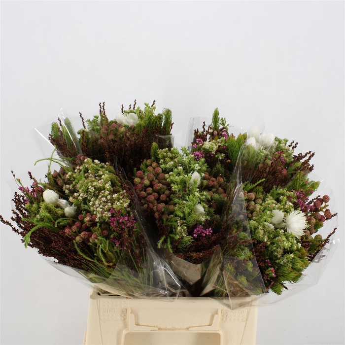 <h4>Kaaps groen   ...mix /bos</h4>