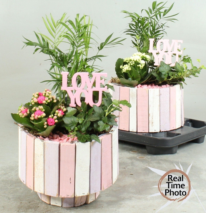 <h4>ARR KAMERPL</h4>