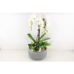 arr2 PL - Ker. barok GRIJS paraplu