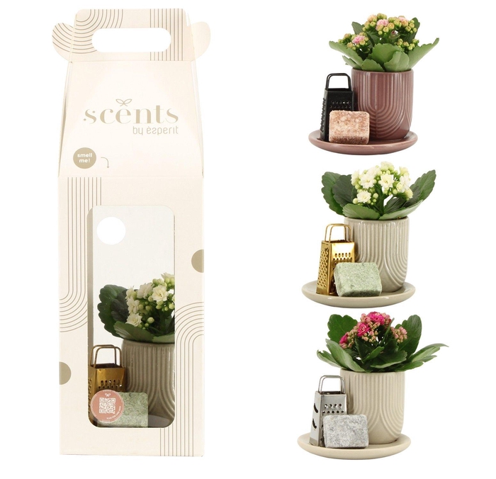 <h4>90758: Scents arrangement</h4>