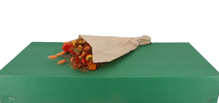 <h4>DRIED BOUQUET ORANGE 50CM BOX</h4>
