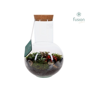 Green Bottle Suzanne Medium met Terrarium arrangement