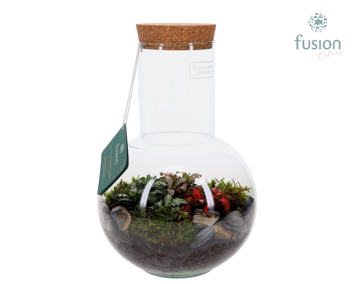 <h4>Green Bottle Suzanne Medium met Terrarium arrangement</h4>