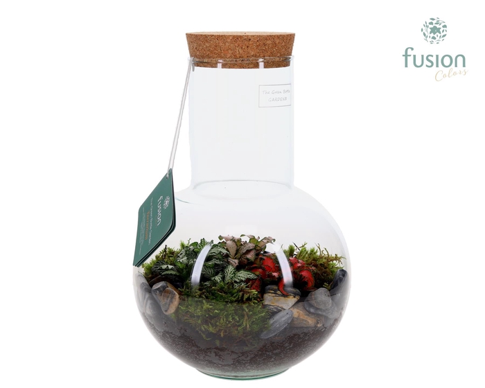 <h4>Green Bottle Suzanne Medium met Terrarium arrangement</h4>