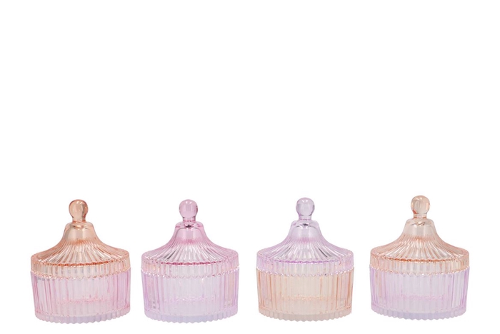 <h4>Bicolore Dreamy Pastel Mix Jars Ass 11x13cm</h4>