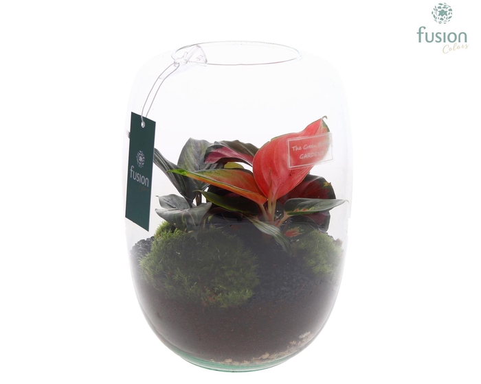 <h4>Green Bottle Isabella Large met groen planten</h4>