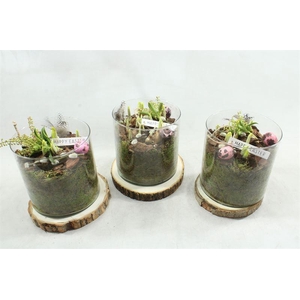 8424 GLAS OP SCHIJF TETE