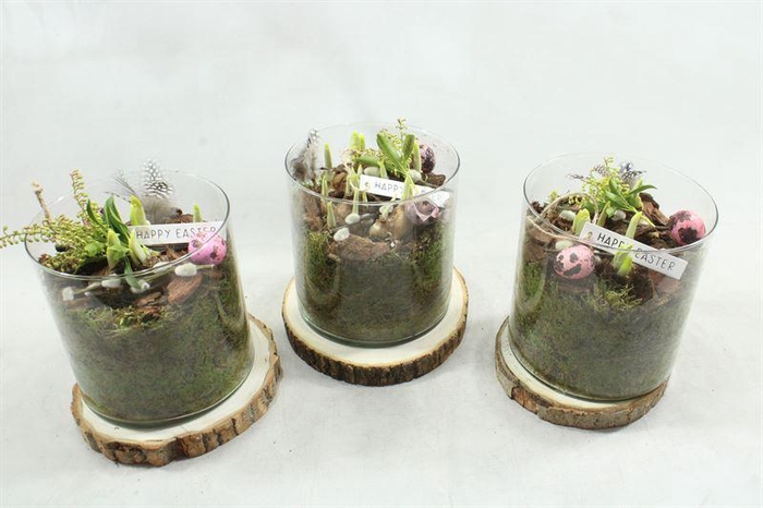 <h4>8424 GLAS OP SCHIJF TETE</h4>