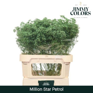 Gyps Million Star L80 Petrol