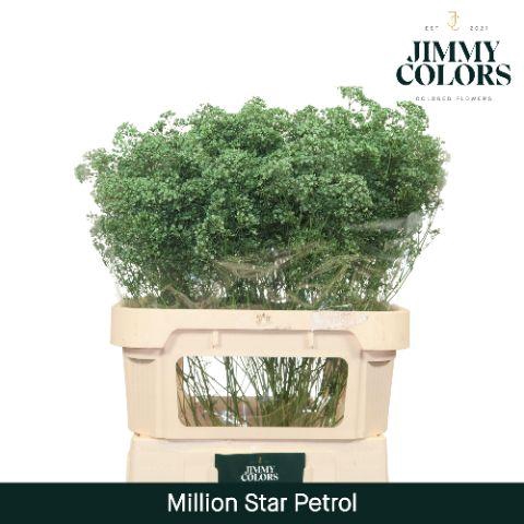 <h4>Gyps Million Star L80 Petrol</h4>