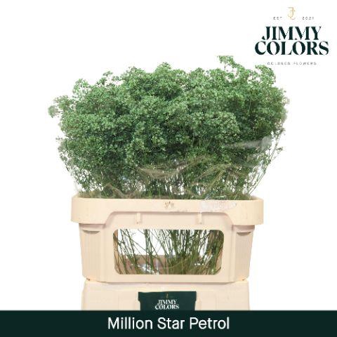 <h4>Gyps Million Star L80 Petrol</h4>