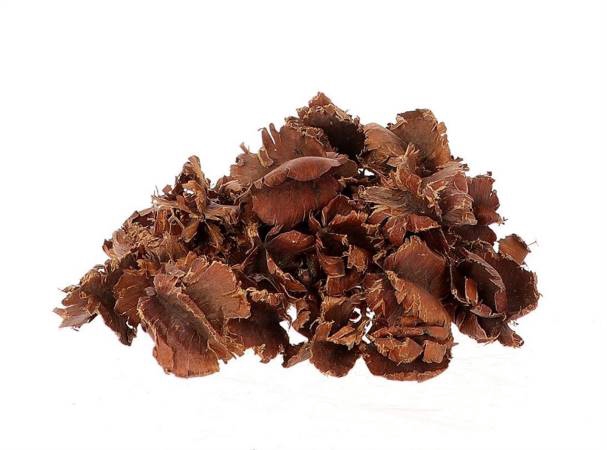 Windmill Pod Grande 4-6 Cm L12W10H36