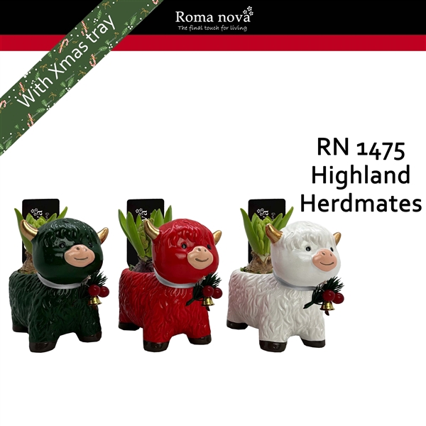 <h4>Arrangementen Hyacinthus 6%</h4>