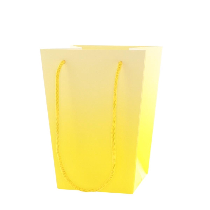 <h4>Tassen Noor 15/15*11/11*20cm</h4>
