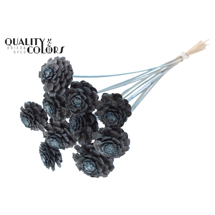 <h4>Pine cone cut 5-7cm on stem Frosted Light Blue</h4>