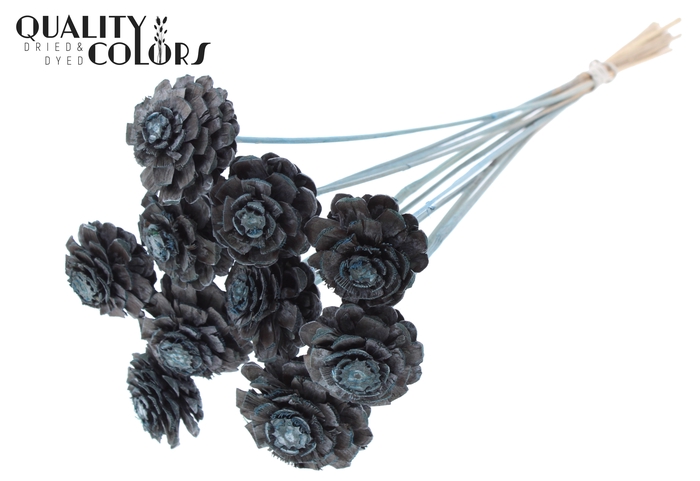 Pine cone cut 5-7cm on stem Frosted Light Blue