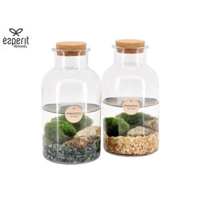 90527: Marimo arrangement