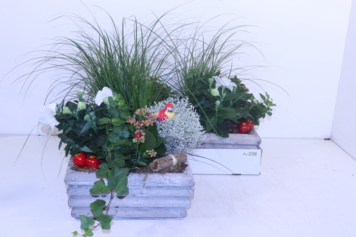 <h4>ARR TUINPLANTEN</h4>