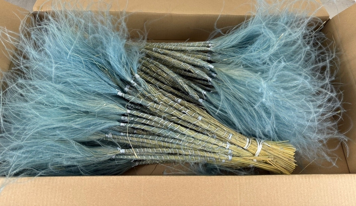 <h4>DF Stypha 60cm Bs Light Blue</h4>