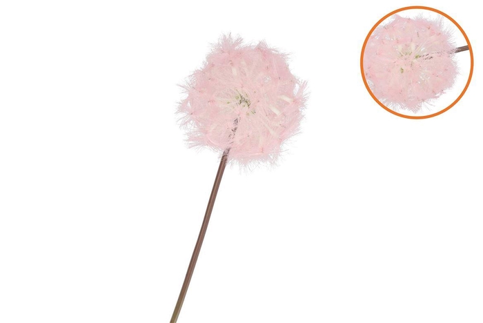 <h4>Silk Dandelion Pink 65cm Nm</h4>