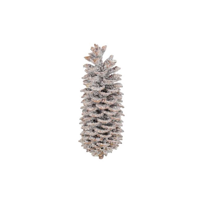 <h4>Pinecone Sugar Snow Slv L35</h4>