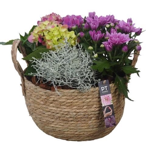 PTSO6033 Arrangement Summer Outdoor in rieten mand