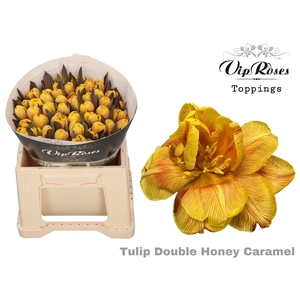 Tu Du Double Honey Caramel