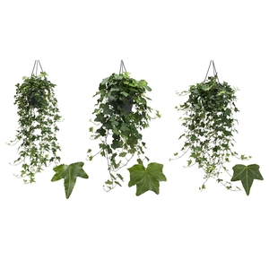 Groen 19cm